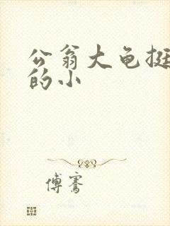 公翁大龟挺进我的小