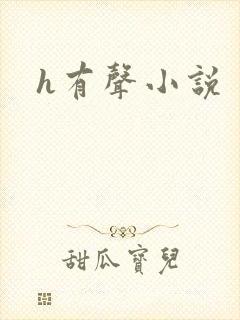h有声小说