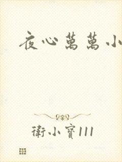 夜心万万小说
