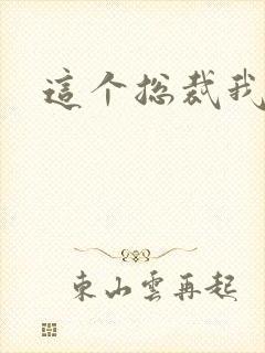 这个总裁我要了