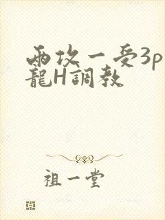 两攻一受3p双龙H调教