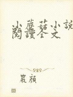 小蘑菇小说免费阅读全文