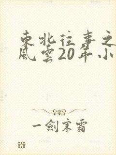 东北往事之黑道风云20年小说