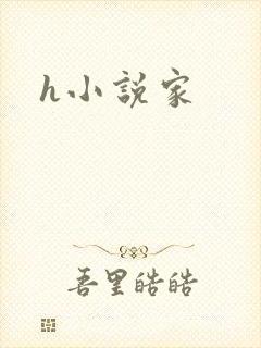 h小说家
