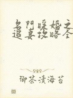 名门暖婚之权爷追妻攻略全文免费阅读