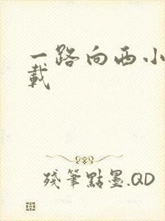 一路向西小说下载