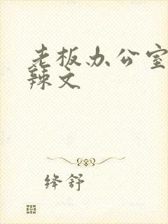 老板办公室系列辣文