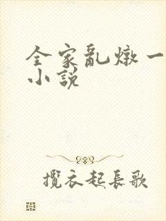 全家乱炖一锅烩小说