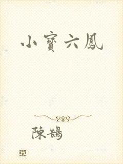 小宝六凤