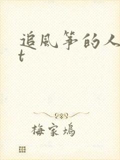 追风筝的人txt