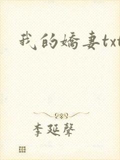 我的娇妻txt