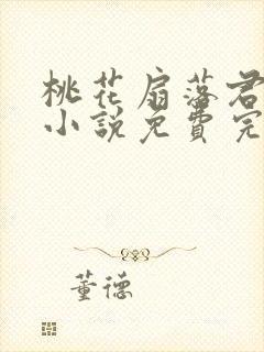 桃花扇落君不还小说免费完整版