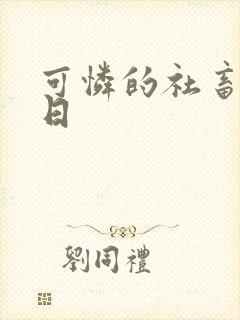可怜的社畜东度日