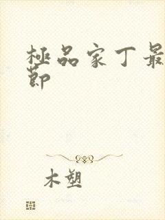 极品家丁最新章节