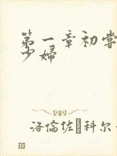 第一章初尝极品少妇