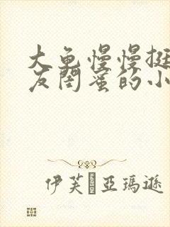 大龟慢慢挺进女友闺蜜的小说