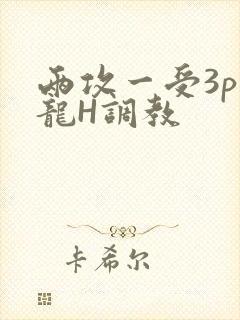 两攻一受3p双龙H调教