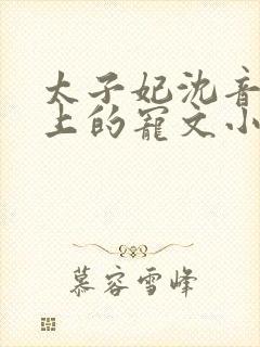 太子妃沈音和皇上的宠文小说