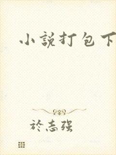 小说打包下载