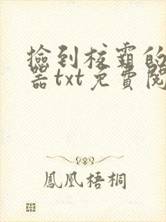 捡到校霸的遥控器txt免费阅读by阳阳