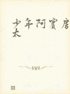 少年阿宾房东太太