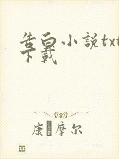 告白小说txt下载