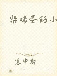 柴鸡蛋的小说