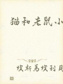 猫和老鼠小说