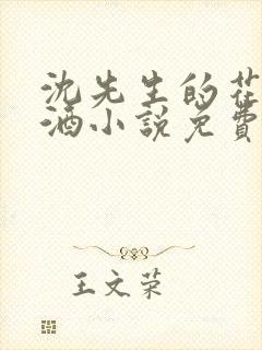 沈先生的花式调酒小说免费阅读