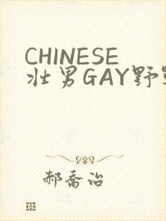 CHINESE壮男GAY野战强迫TUBE