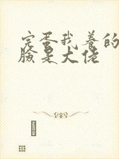 完蛋我养的小白脸是大佬