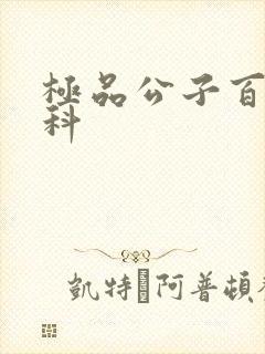 极品公子百度百科