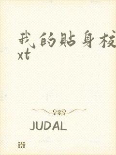 我的贴身校花txt