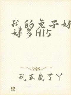 我的兔子好软水好多H15