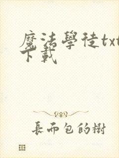 魔法学徒txt下载