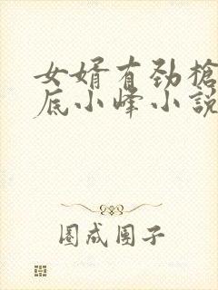 女婿有劲枪枪到底小峰小说