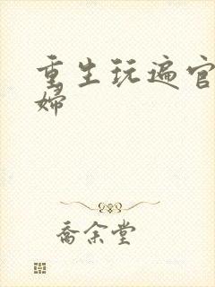 重生玩遍官场贵妇