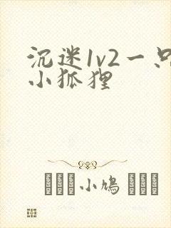 沉迷1v2一只小狐狸