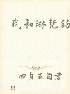 我和琳梵的故事