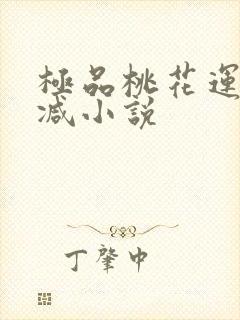 极品桃花运未删减小说