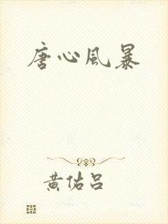 唐心风暴