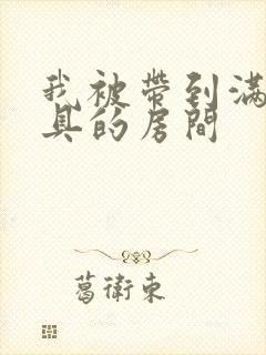 我被带到满是玩具的房间