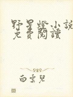 野星灯小说全文免费阅读