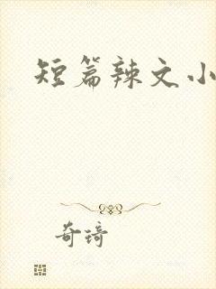 短篇辣文小说