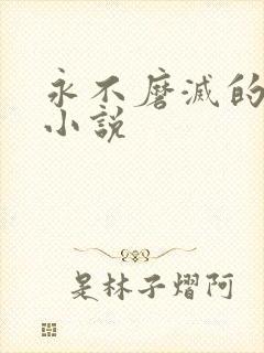 永不磨灭的番号小说