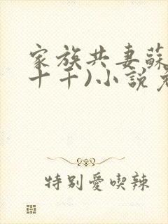 家族共妻苏苏(十千)小说免费