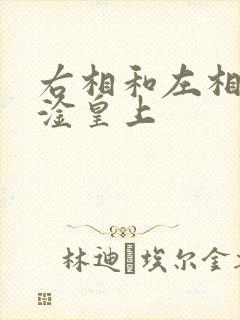 右相和左相一起淦皇上