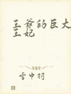 王爷的巨大进入王妃