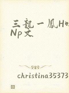 三龙一凤H啪肉Np文