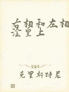 右相和左相一起淦皇上